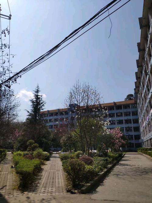 身為貴州電子信息職業技術學院即將畢業的學生，我想說說貴州信息科技的那些事兒